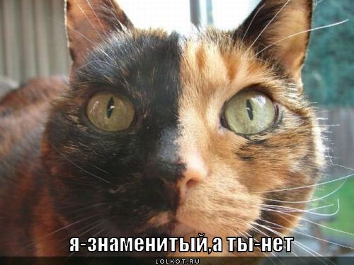 знаменитый