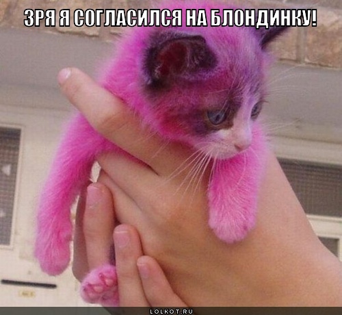 зря