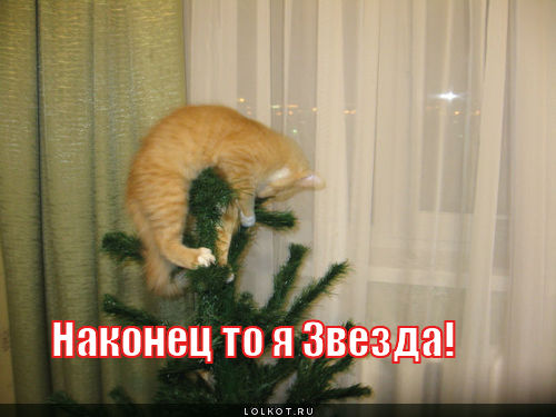 звезда