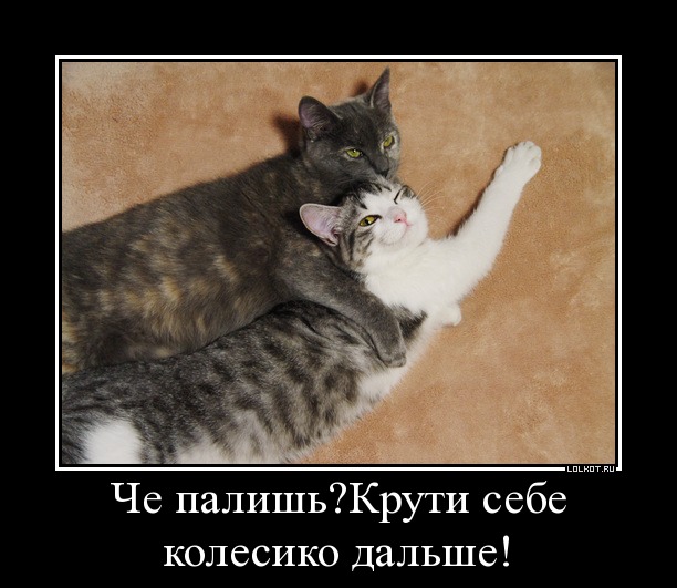 че палишь