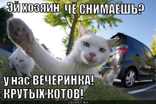 чё снимаешь