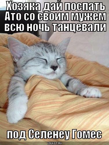 дай поспать