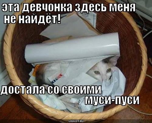 достала