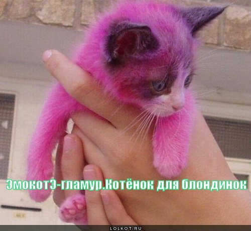 эмокотэ-гламур