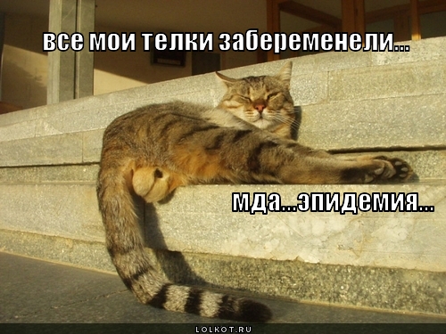 эпидемия