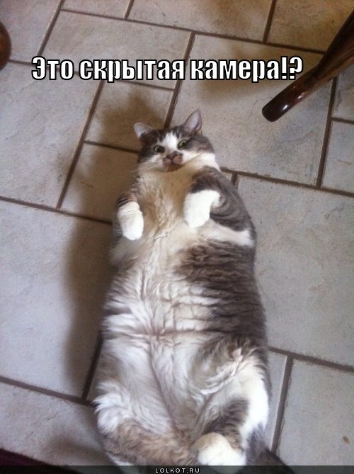 это скрытая камера!?