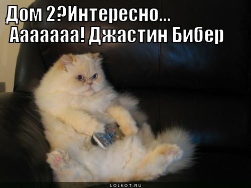 интересно