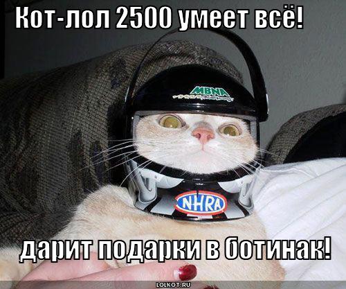 кот-лол 2500
