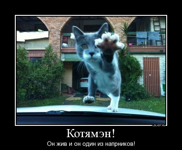 котямэн! 