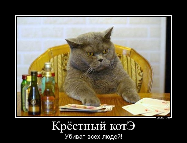 крёстный котэ