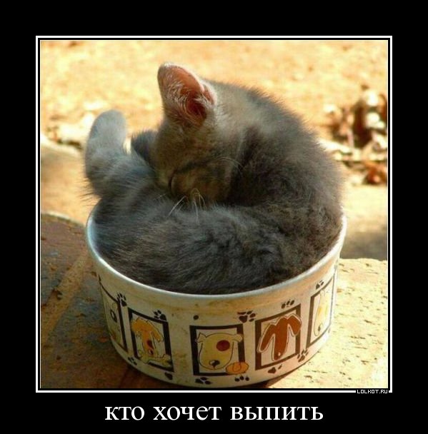 кто хочет выпить