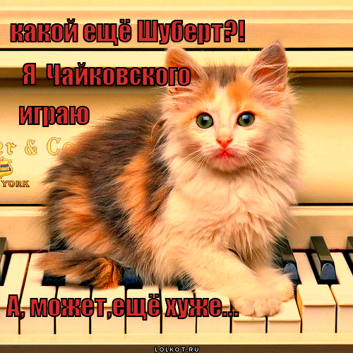 может