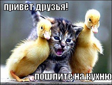 на кухню