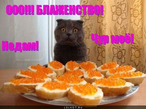 недам