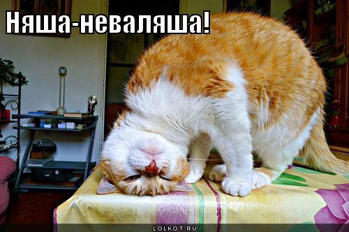 няша-неваляша!