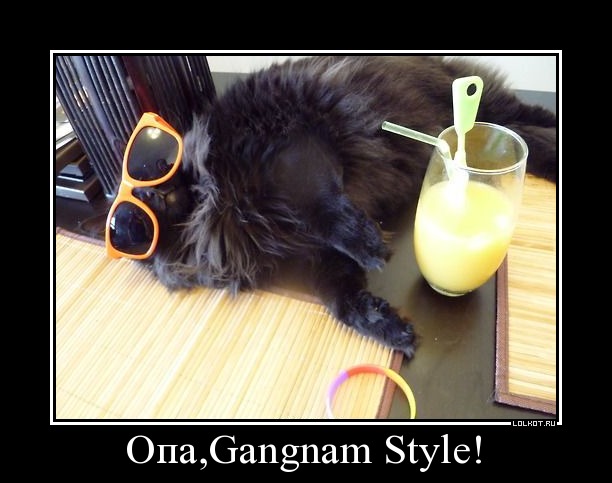 опа, gangnam style!
