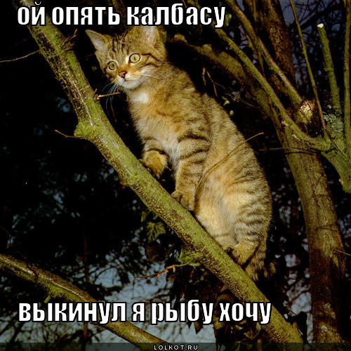 опять