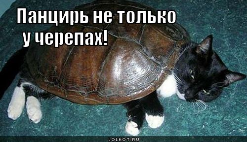 панцирь