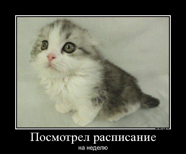 расписание