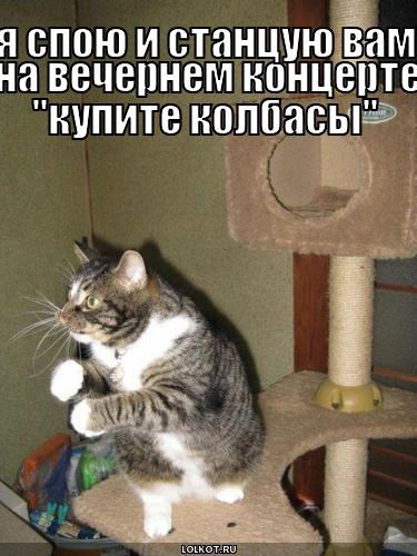 спою и станцую