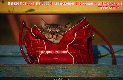 сто в одном