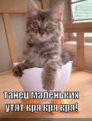 танец маленьких утят
