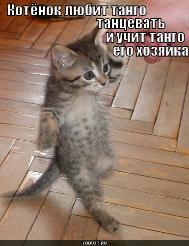 танго