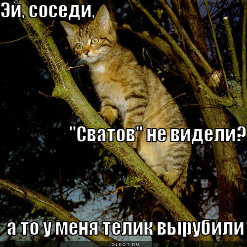 телик вырубили