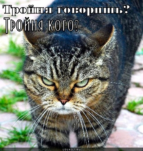 тройня говоришь? тройня кого?