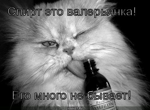 валерьянка