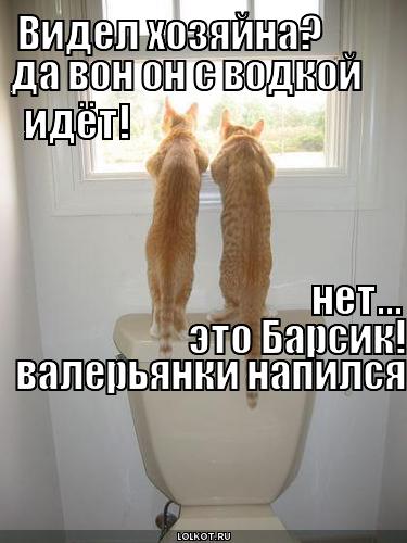 видел хозяйна