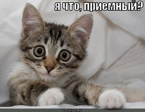 я что, приемный?
