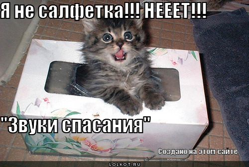 я не салфетка