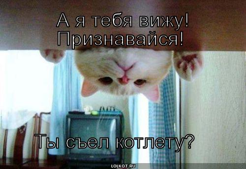 я тебя вижу