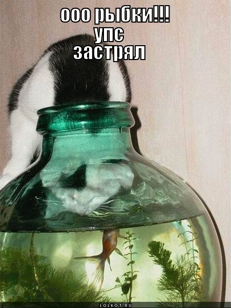 застрял