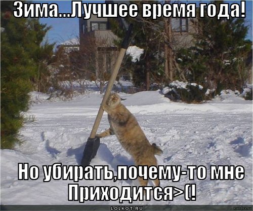 зима