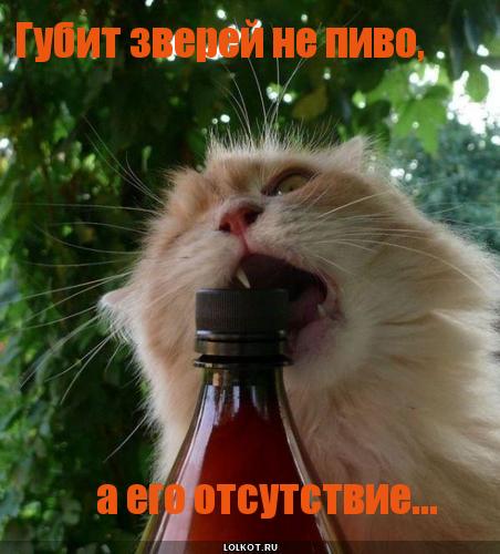 зверей не пиво