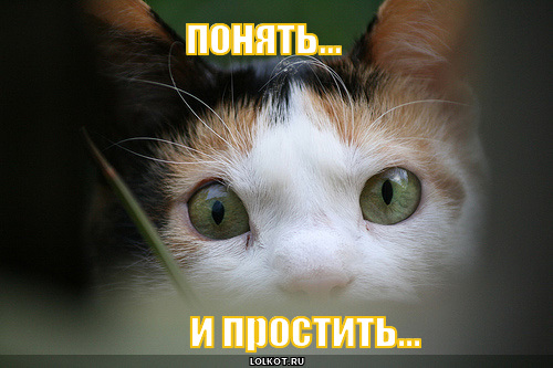 понять... и простить...