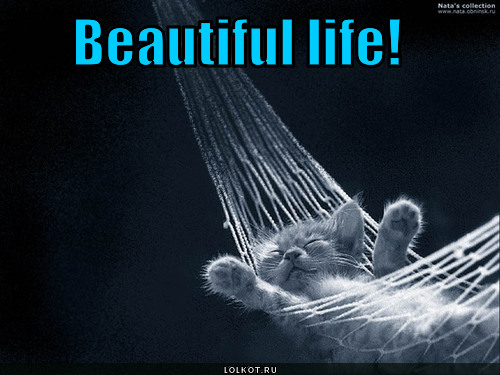 beautiful life!