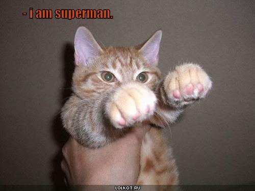 - i am superman.