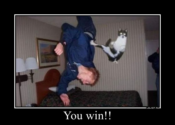 you win!!