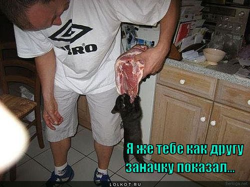 Дружба дружбой...
