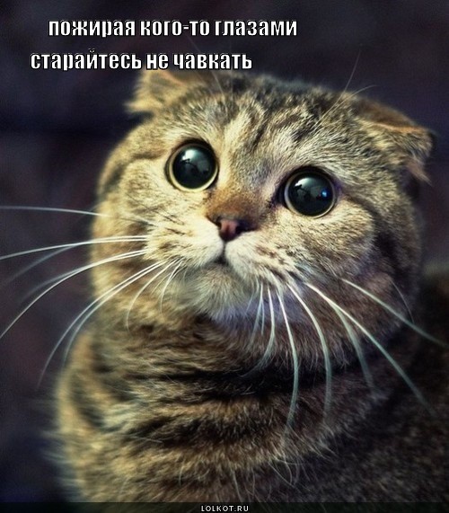 пожирая глазами