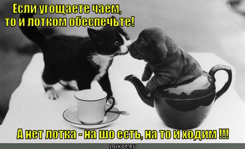 Тростниковый сахарок.