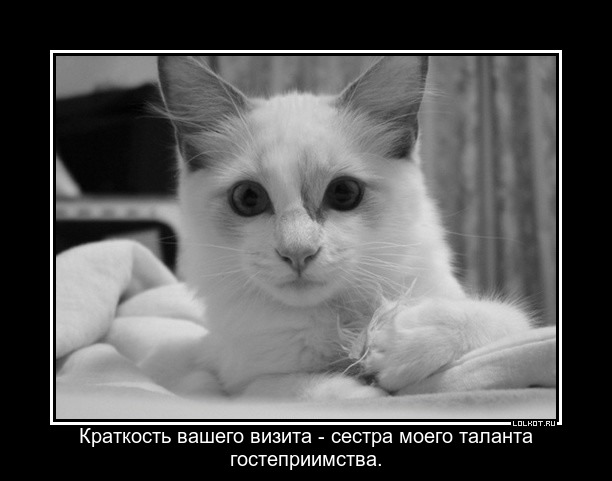 будьте кратки!