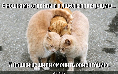 решили сменить ориентацию