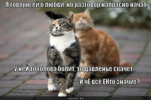 всё напрасно
