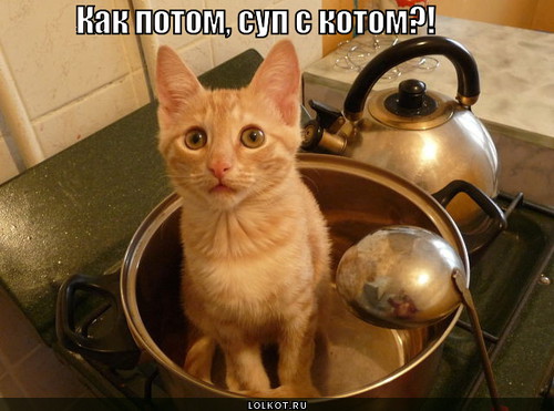 как потом, суп с котом?!