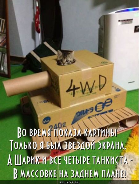 4 танкиста и котяка