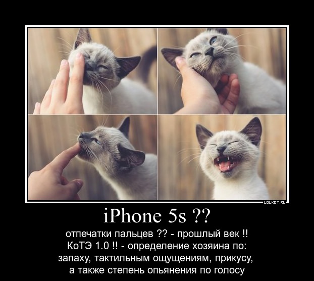 iphone 5s VS КоТЭ